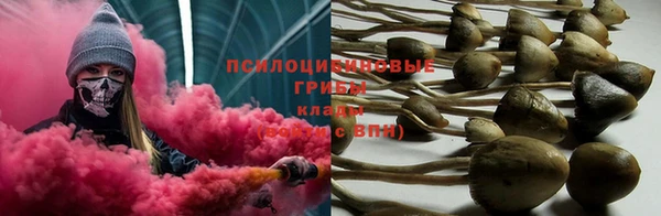 прущая мука Зеленодольск