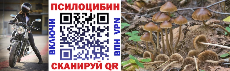 Купить где  Камызяк  Псилоцибиновые грибы ЛСД 